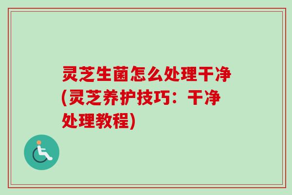 灵芝生菌怎么处理干净(灵芝养护技巧：干净处理教程)