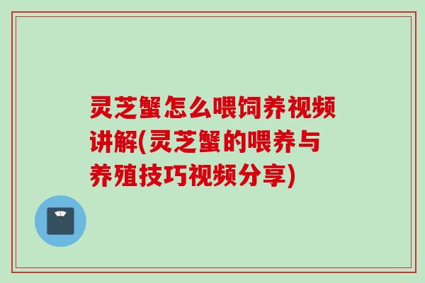 灵芝蟹怎么喂饲养视频讲解(灵芝蟹的喂养与养殖技巧视频分享)