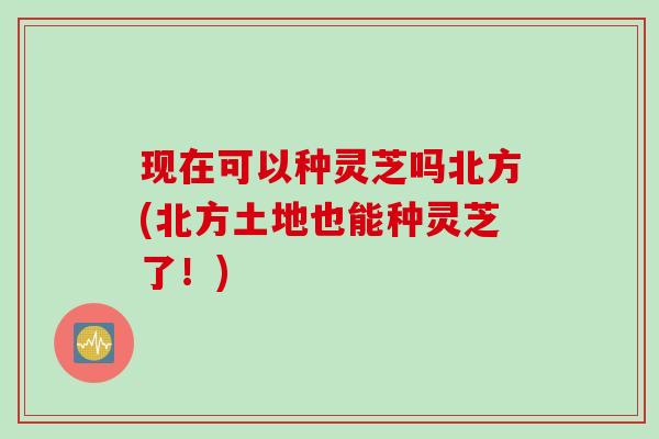 现在可以种灵芝吗北方(北方土地也能种灵芝了！)