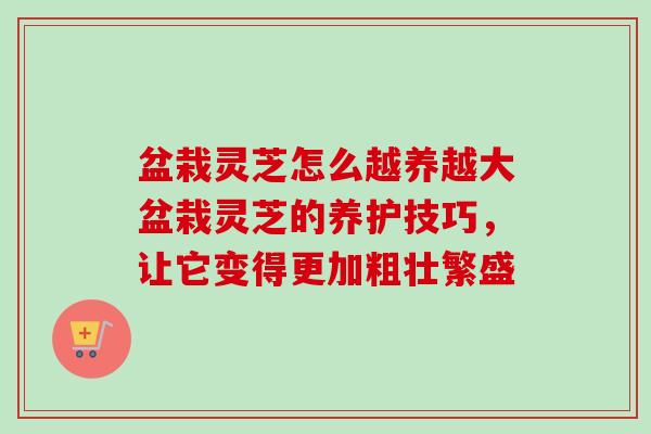 盆栽灵芝怎么越养越大盆栽灵芝的养护技巧,让它变得更加粗壮繁盛 盆栽灵芝怎么越养越大盆栽灵芝的养护技巧,让它变得更加粗壮繁盛