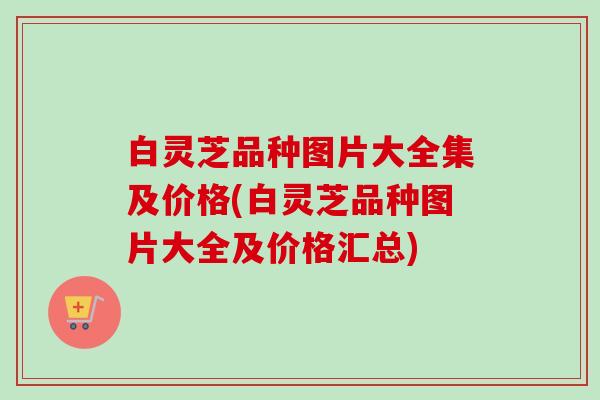 白灵芝品种图片大全集及价格(白灵芝品种图片大全及价格汇总)