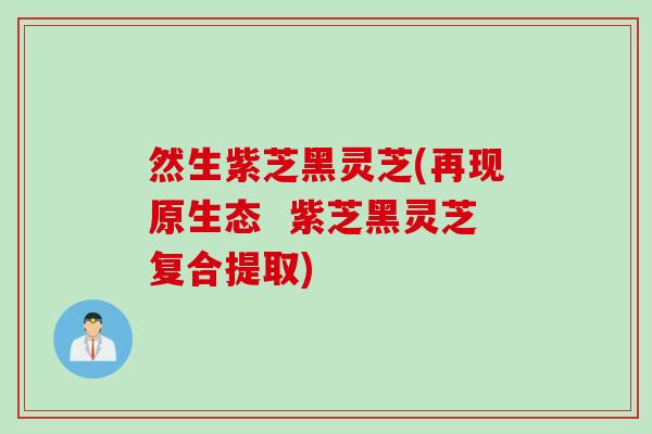 然生紫芝黑灵芝(再现原生态  紫芝黑灵芝复合提取)