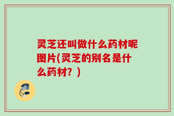灵芝还叫做什么药材呢图片(灵芝的别名是什么药材？)
