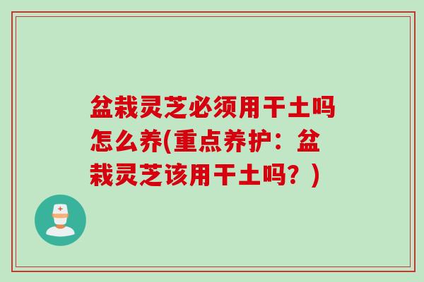 盆栽灵芝必须用干土吗怎么养(重点养护：盆栽灵芝该用干土吗？)