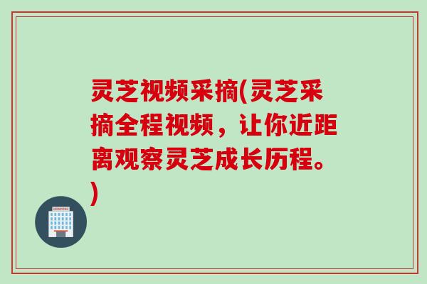灵芝视频采摘(灵芝采摘全程视频，让你近距离观察灵芝成长历程。)
