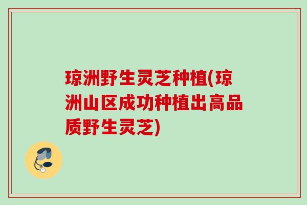 琼洲野生灵芝种植(琼洲山区成功种植出高品质野生灵芝)