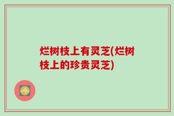 烂树枝上有灵芝(烂树枝上的珍贵灵芝)