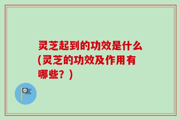 灵芝起到的功效是什么(灵芝的功效及作用有哪些?) 灵芝起到的功效是什么(灵芝的功效及作用有哪些?)