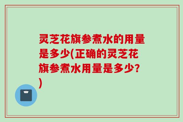 灵芝花旗参煮水的用量是多少(正确的灵芝花旗参煮水用量是多少？)