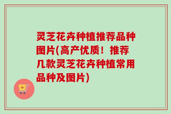 灵芝花卉种植推荐品种图片(高产优质!推荐几款灵芝花卉种植常用品种及图片) 灵芝花卉种植推荐品种图片(高产优质!推荐几款灵芝花卉种植常用品种及图片)