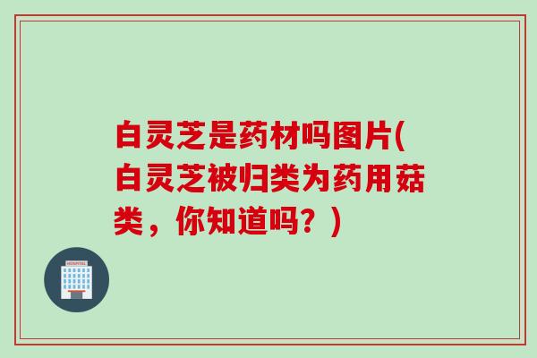 白灵芝是药材吗图片(白灵芝被归类为药用菇类,你知道吗?) 白灵芝是药材吗图片(白灵芝被归类为药用菇类,你知道吗?)