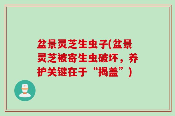 盆景灵芝生虫子(盆景灵芝被寄生虫破坏,养护关键在于“揭盖”) 盆景灵芝生虫子(盆景灵芝被寄生虫破坏,养护关键在于“揭盖”)