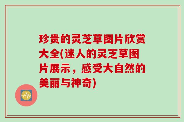 珍贵的灵芝草图片欣赏大全(迷人的灵芝草图片展示，感受大自然的美丽与神奇)
