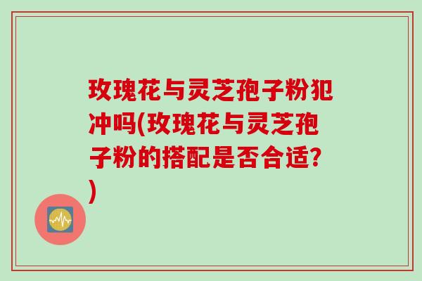 玫瑰花与灵芝孢子粉犯冲吗(玫瑰花与灵芝孢子粉的搭配是否合适?) 玫瑰花与灵芝孢子粉犯冲吗(玫瑰花与灵芝孢子粉的搭配是否合适?)