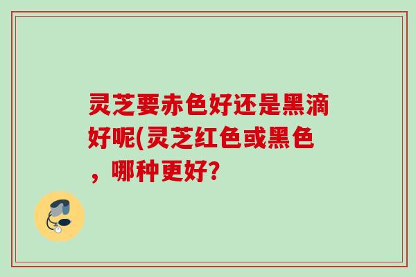 灵芝要赤色好还是黑滴好呢(灵芝红色或黑色，哪种更好？