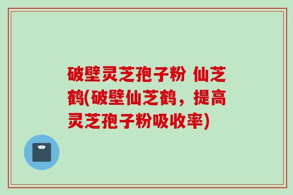破壁灵芝孢子粉 仙芝鹤(破壁仙芝鹤，提高灵芝孢子粉吸收率)