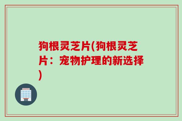 狗根灵芝片(狗根灵芝片：宠物护理的新选择)