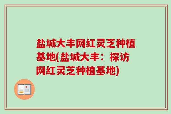 盐城大丰网红灵芝种植基地(盐城大丰：探访网红灵芝种植基地)