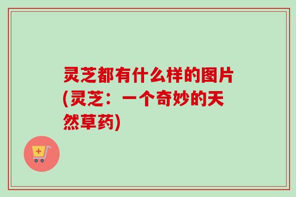 灵芝都有什么样的图片(灵芝:一个奇妙的天然草药) 灵芝都有什么样的图片(灵芝:一个奇妙的天然草药)