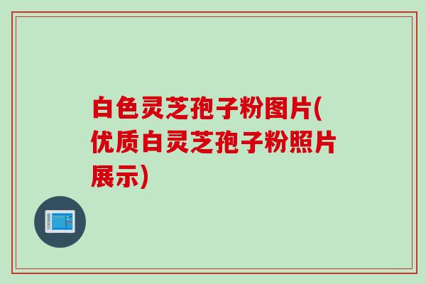 白色灵芝孢子粉图片(优质白灵芝孢子粉照片展示)