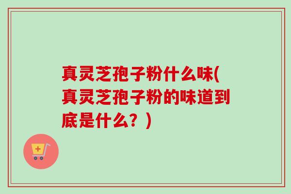 真灵芝孢子粉什么味(真灵芝孢子粉的味道到底是什么？)