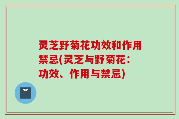 灵芝野菊花功效和作用禁忌(灵芝与野菊花：功效、作用与禁忌)