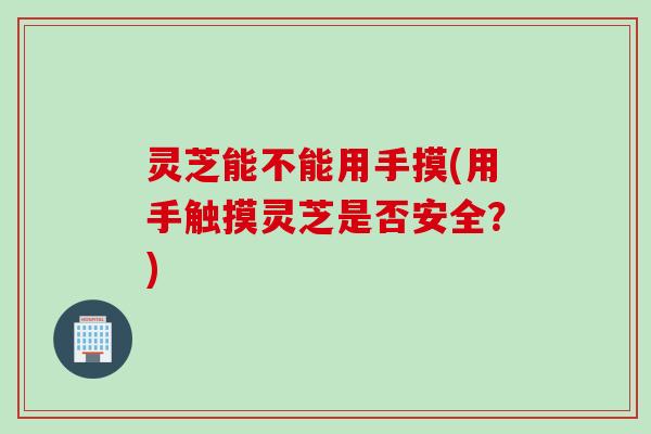灵芝能不能用手摸(用手触摸灵芝是否安全？)