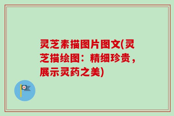 灵芝素描图片图文(灵芝描绘图：精细珍贵，展示灵药之美)