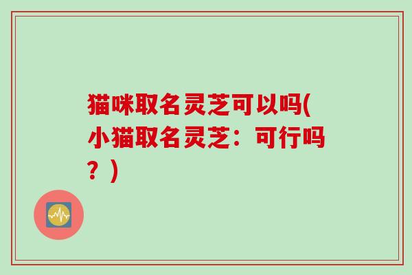 猫咪取名灵芝可以吗(小猫取名灵芝：可行吗？)