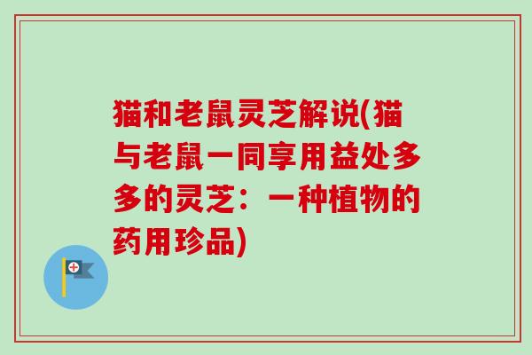 猫和老鼠灵芝解说(猫与老鼠一同享用益处多多的灵芝：一种植物的药用珍品)