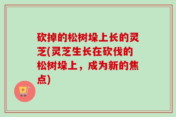 砍掉的松树垛上长的灵芝(灵芝生长在砍伐的松树垛上，成为新的焦点)