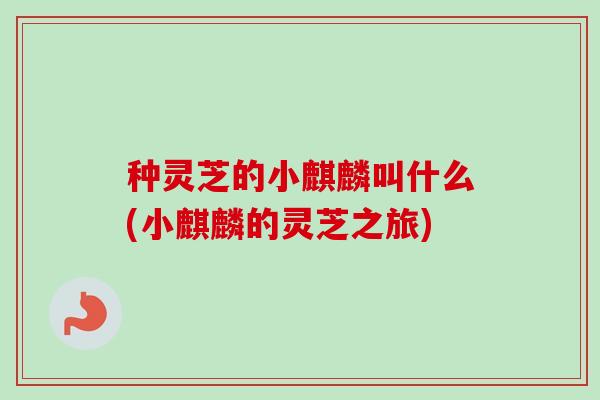 种灵芝的小麒麟叫什么(小麒麟的灵芝之旅) 种灵芝的小麒麟叫什么(小麒麟的灵芝之旅)