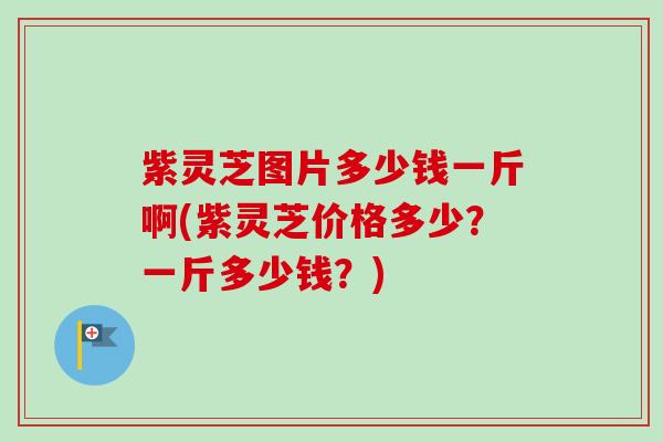 紫灵芝图片多少钱一斤啊(紫灵芝价格多少？一斤多少钱？)