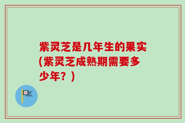 紫灵芝是几年生的果实(紫灵芝成熟期需要多少年？)