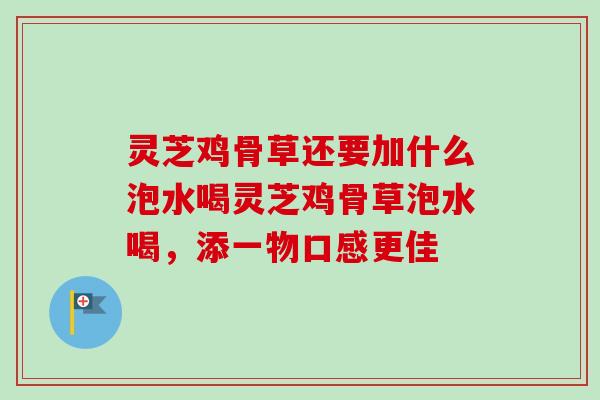 灵芝鸡骨草还要加什么泡水喝灵芝鸡骨草泡水喝,添一物口感更佳 灵芝鸡骨草还要加什么泡水喝灵芝鸡骨草泡水喝,添一物口感更佳