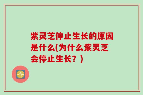 紫灵芝停止生长的原因是什么(为什么紫灵芝会停止生长？)