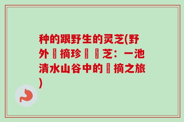 种的跟野生的灵芝(野外採摘珍貴靈芝：一池清水山谷中的採摘之旅)