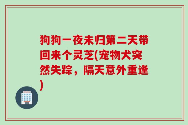 狗狗一夜未归第二天带回来个灵芝(宠物犬突然失踪，隔天意外重逢)