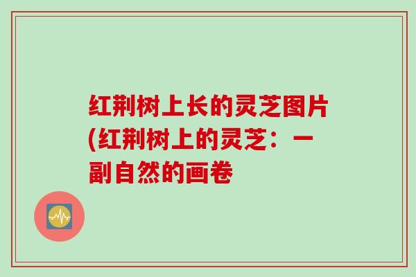 红荆树上长的灵芝图片(红荆树上的灵芝：一副自然的画卷
