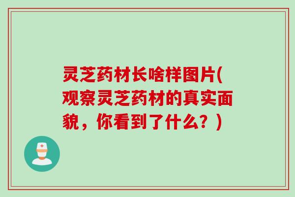 灵芝药材长啥样图片(观察灵芝药材的真实面貌，你看到了什么？)
