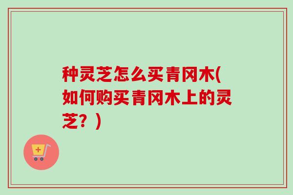 种灵芝怎么买青冈木(如何购买青冈木上的灵芝?) 种灵芝怎么买青冈木(如何购买青冈木上的灵芝?)
