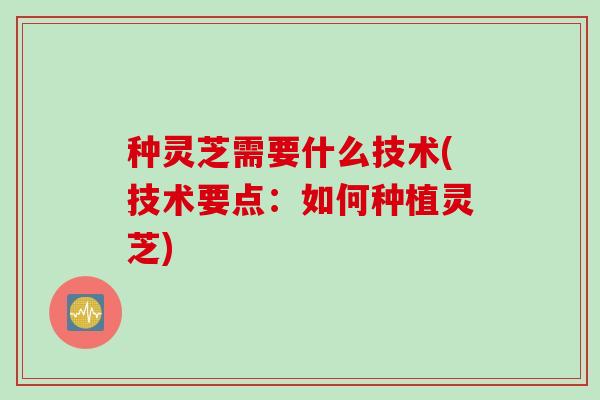 种灵芝需要什么技术(技术要点：如何种植灵芝)