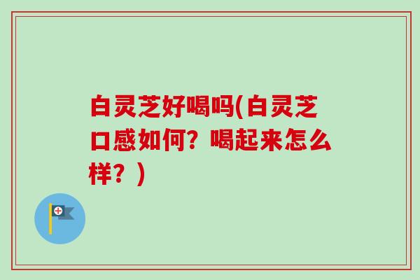 白灵芝好喝吗(白灵芝口感如何？喝起来怎么样？)