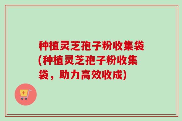 种植灵芝孢子粉收集袋(种植灵芝孢子粉收集袋，助力高效收成)