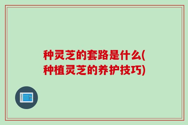 种灵芝的套路是什么(种植灵芝的养护技巧)