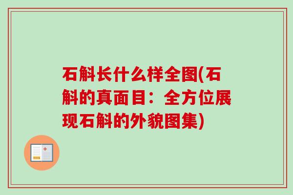 石斛长什么样全图(石斛的真面目：全方位展现石斛的外貌图集)