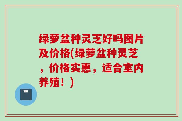 绿萝盆种灵芝好吗图片及价格(绿萝盆种灵芝，价格实惠，适合室内养殖！)