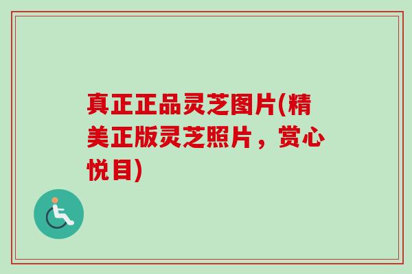 真正正品灵芝图片(精美正版灵芝照片，赏心悦目)