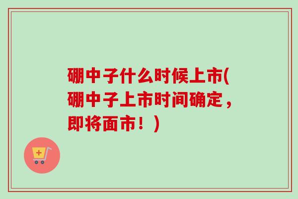 硼中子什么时候上市(硼中子上市时间确定，即将面市！)