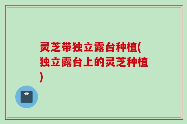 灵芝带独立露台种植(独立露台上的灵芝种植)